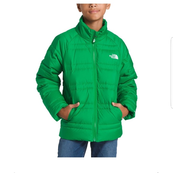 The North Face Jackets Coats Finalthe North Face Boys Alpz Down Coat Poshmark